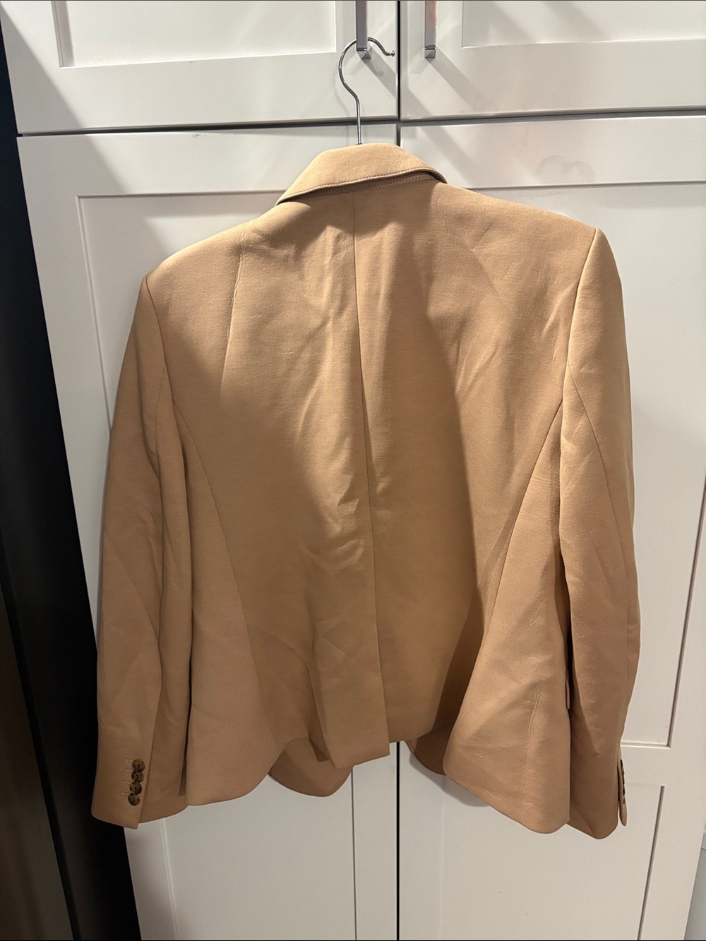 Ann Taylor Tan Single-Button Blazer - Picture 5 of 5